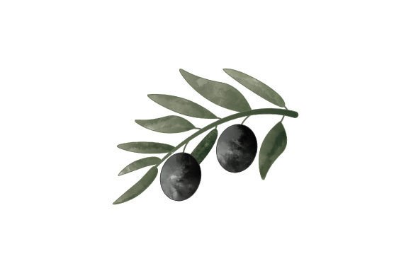 Olive Branch Watercolor Crafts for Easter